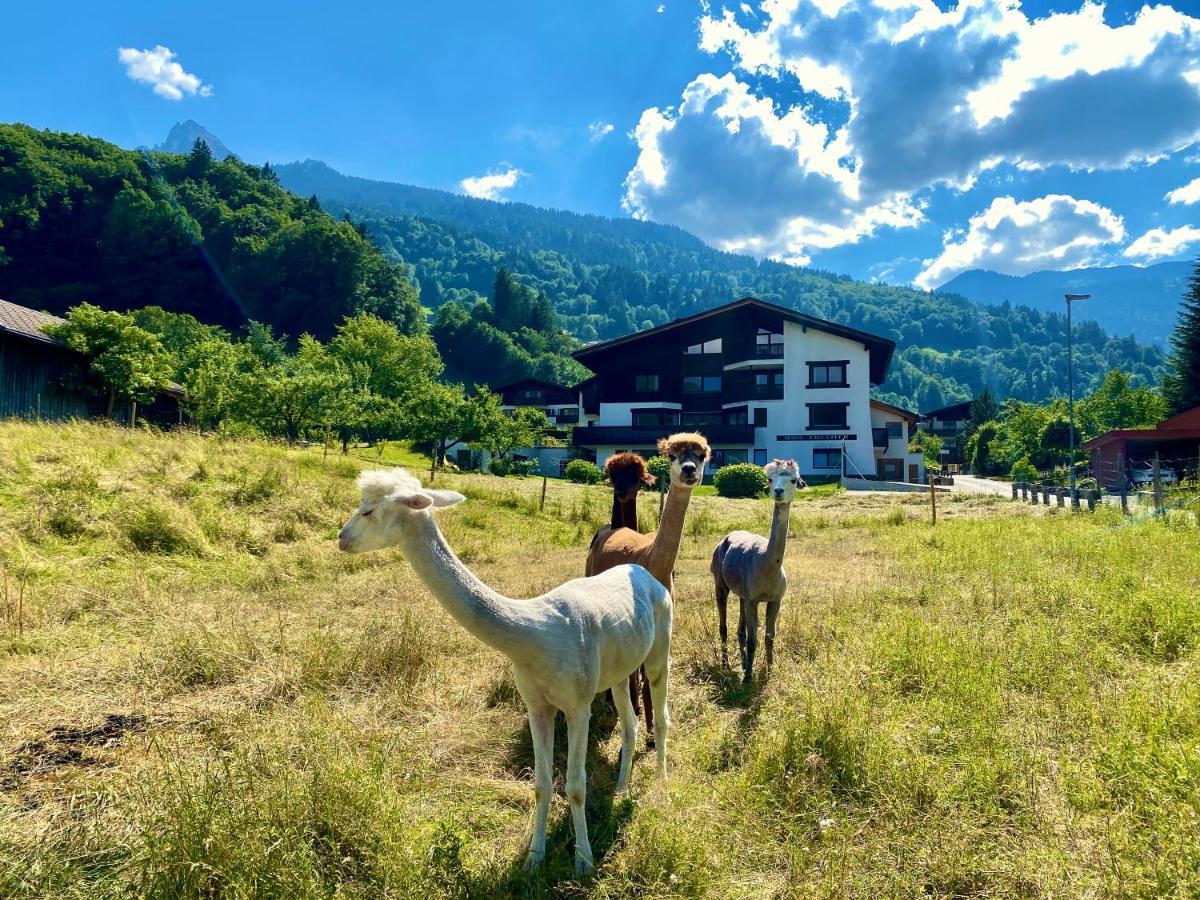 Alpenapart Montafon - Haus Engstler シュルンス エクステリア 写真